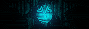 importancia de la ciberseguridad